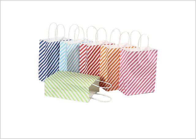 Twisted Handle Paper Bag